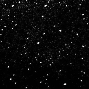 Meet your Posher, Michle